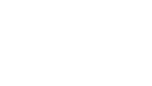 TT Transporte & Logistik GmbH