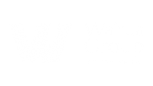Wairua Group